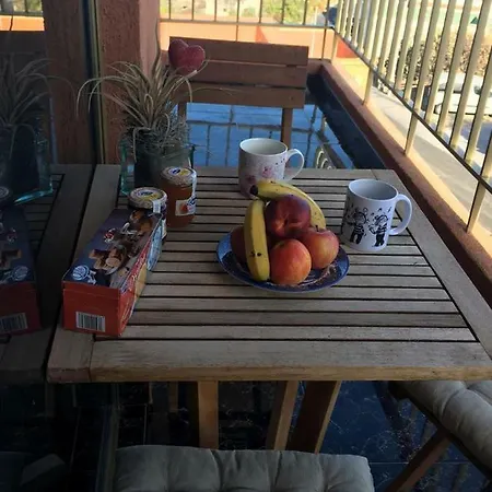 Naomi's House Kır Evi *