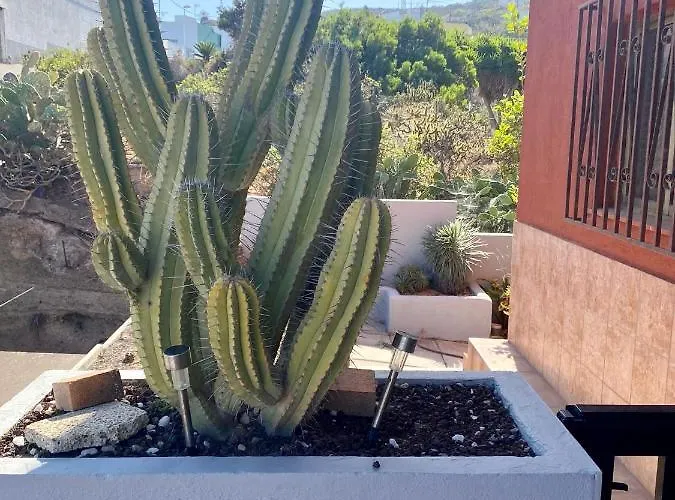 Venkovský dům Naomi's House *